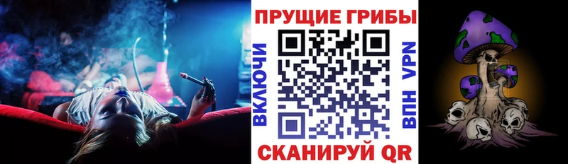 Купить  Анива  Галлюциногенные грибы прущие грибы 