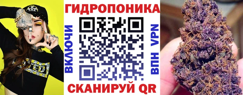 Купить где  Анива  Бошки Шишки план 
